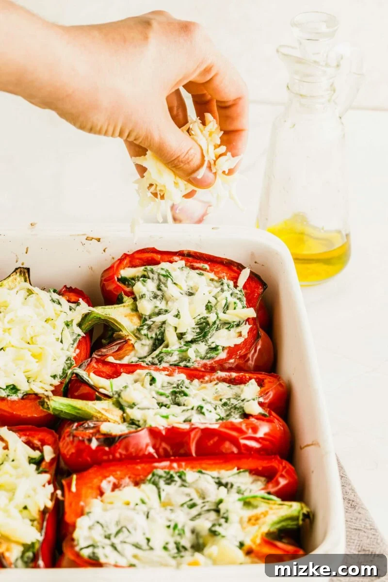 A generous sprinkling of shredded mozzarella cheese is being added over beautifully stuffed peppers, nestled in a pristine white baking dish, ready for the oven.