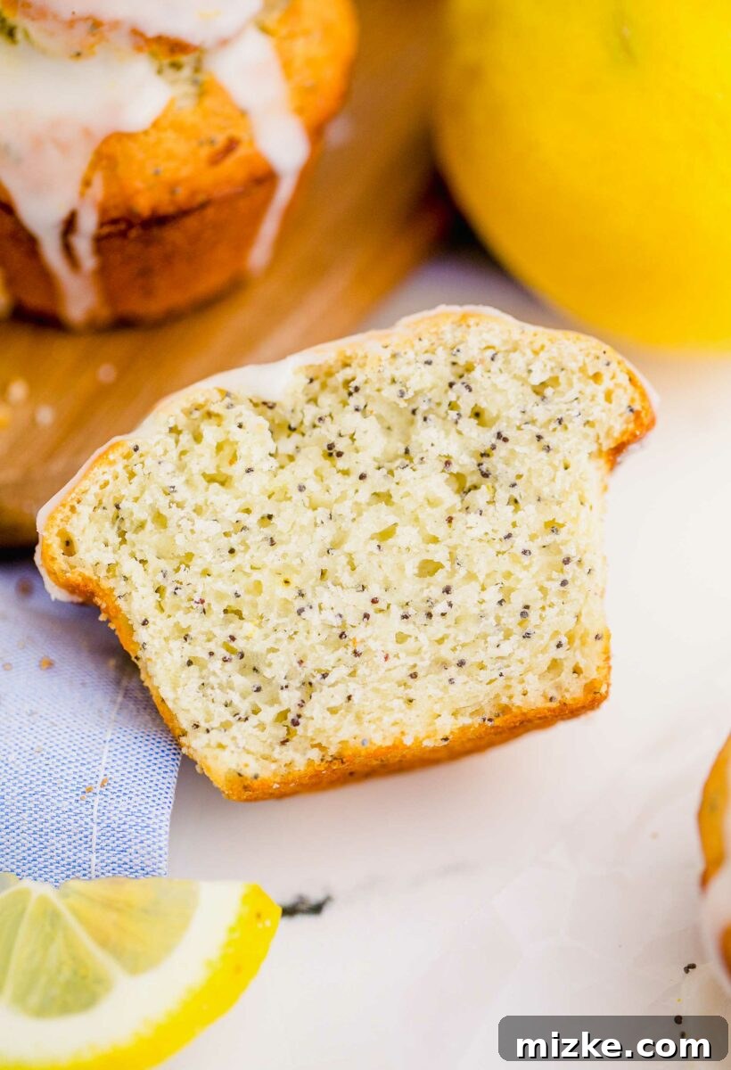 Zesty Lemon Poppy Seed Muffins 5 A lemon poppyseed muffin has been sliced in half, revealing its perfectly baked, moist center with visible poppyseeds.