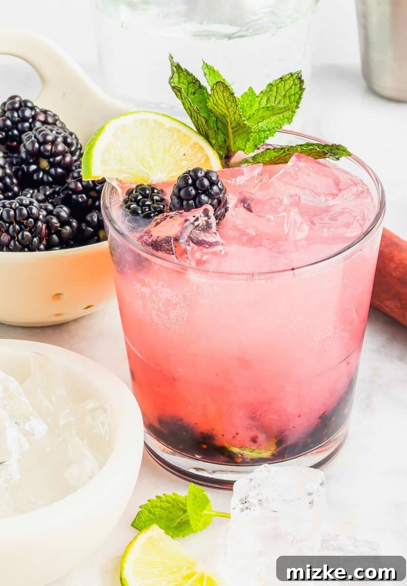 Velvet Blackberry Mint Mojito 2 A glass is filled with a pink mojito and is garnished with berries, lime, and mint.