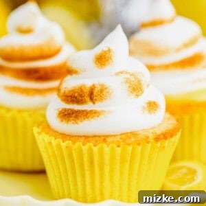 A plate of two lemon meringue cupcakes with a slice of lemon, highlighting the vibrant yellow lemon curd peeking from inside.