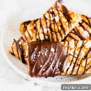 A single chocolate and peanut granola bar with a chocolate drizzle and sea salt garnish.