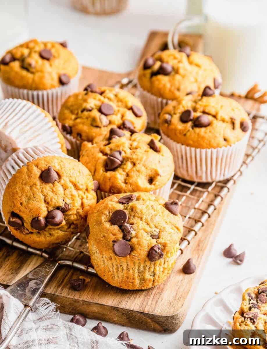 Tahini Swirl Banana Chocolate Chip Muffins 4 A single Chocolate Chip Tahini Banana Muffin, partially unwrapped, highlights its moist interior and generous chocolate chip distribution.