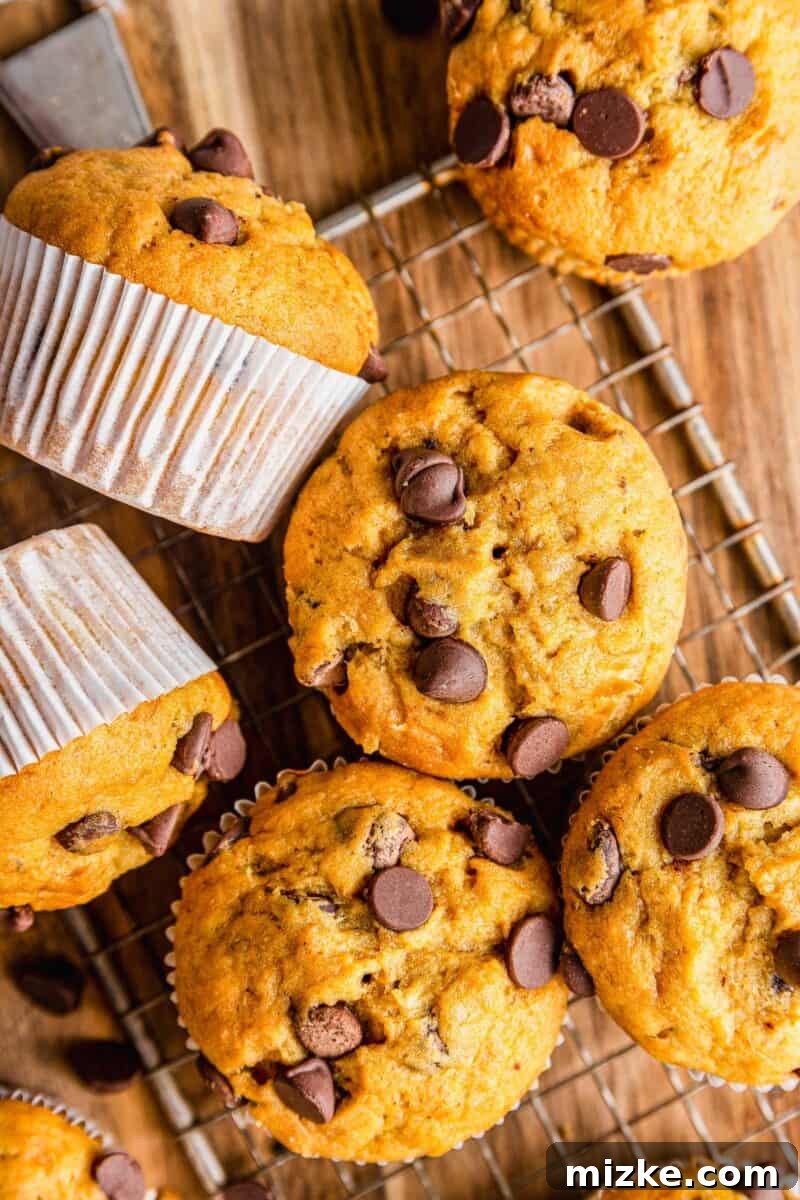 Tahini Swirl Banana Chocolate Chip Muffins 6 A full batch of Chocolate Chip Tahini Banana Muffins cooling on a wire rack, ready to be enjoyed.