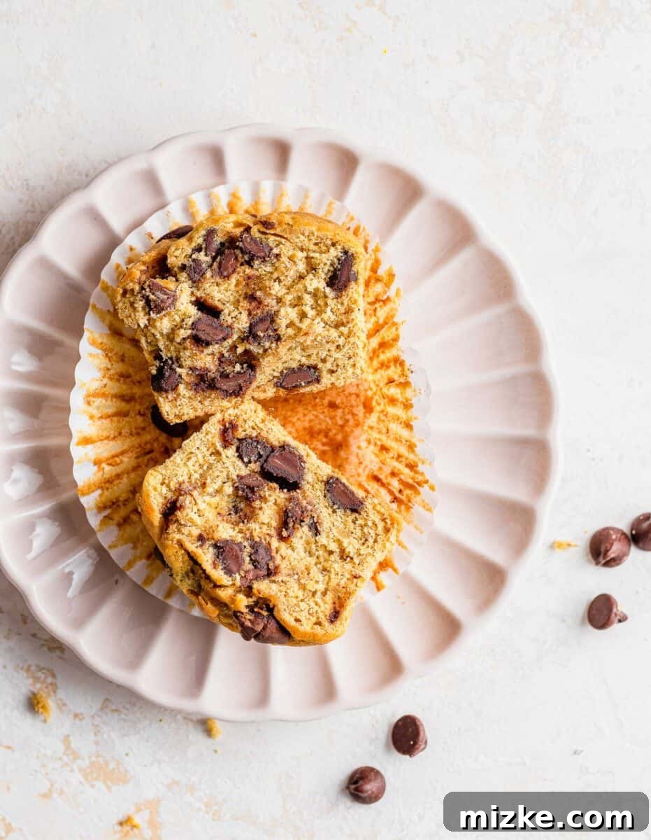 Tahini Swirl Banana Chocolate Chip Muffins 7 A Chocolate Chip Tahini Banana Muffin, cut in half on a white plate, reveals its incredibly moist interior texture and evenly distributed chocolate chips.