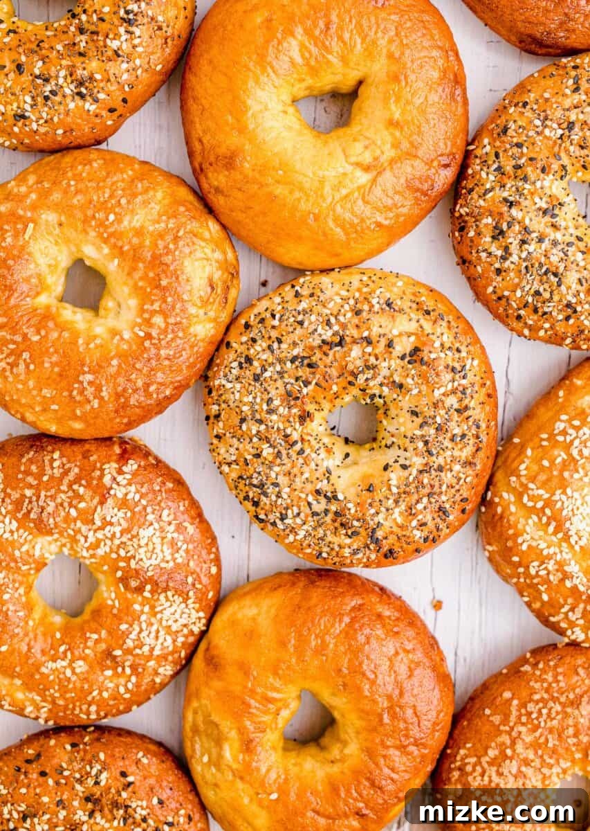 Chewy Homemade Bagels From Scratch 4 Multiple homemade bagels, some plain and some topped with sesame seeds, arranged neatly on a white kitchen countertop.