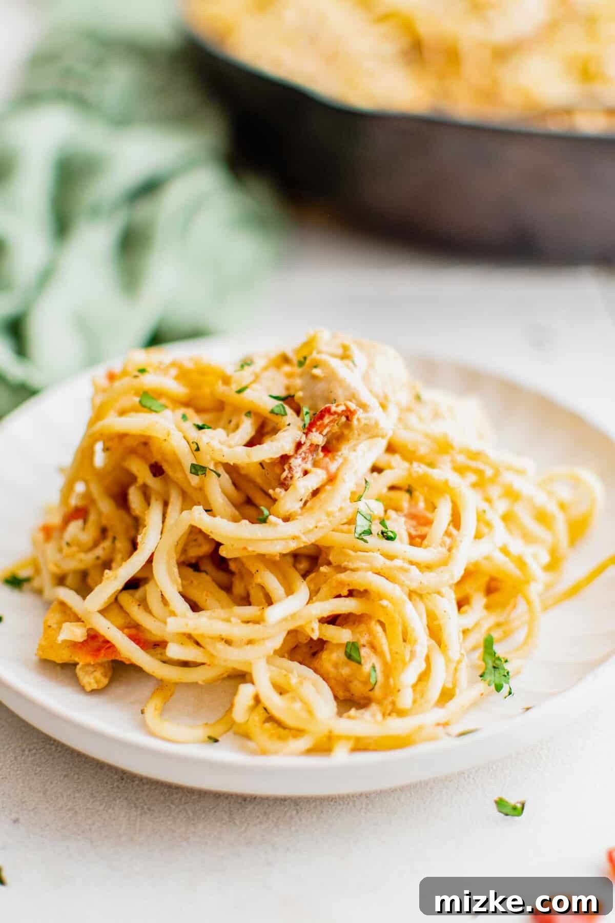 a white plate has chicken spaghetti portioned out on top
