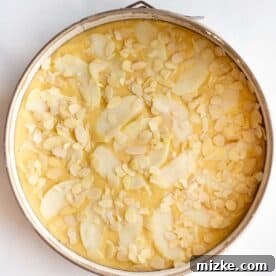 the top of an apple almond cake is decorated with apple slices and sliced almonds