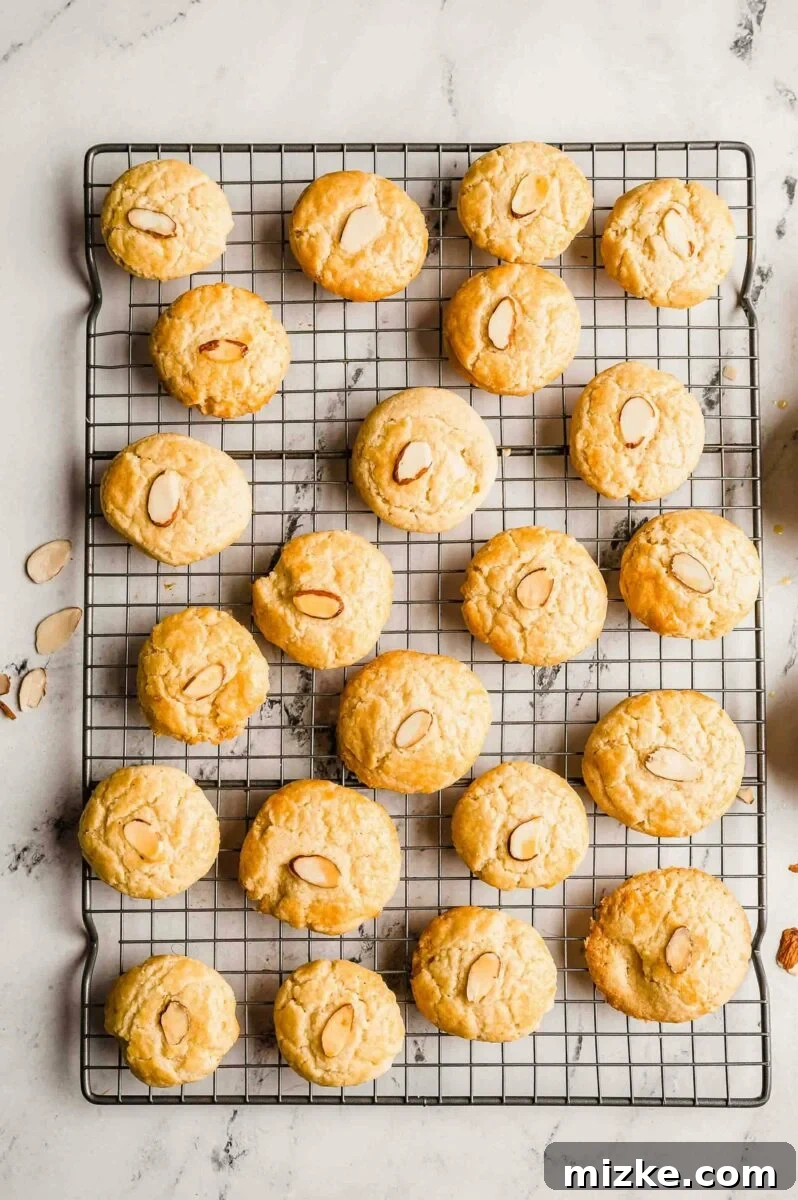 Overhead view of several Chinese almond cookies cooling on a wire rack, showcasing their perfectly round coin shape.