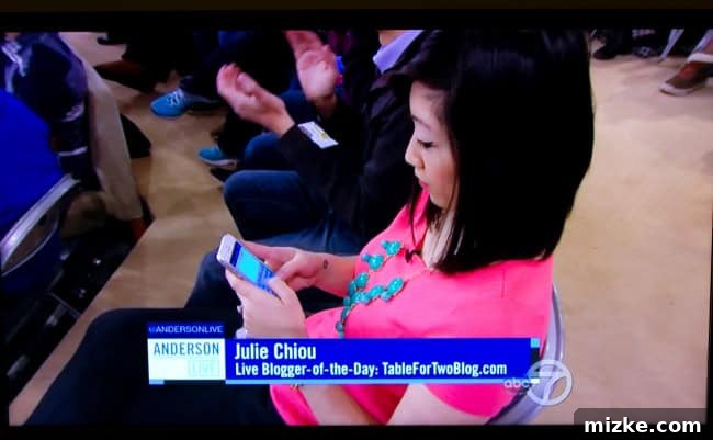 Anderson Cooper Live The Daily Digital Luminary 7 Blogger's appearance on Anderson Cooper Live