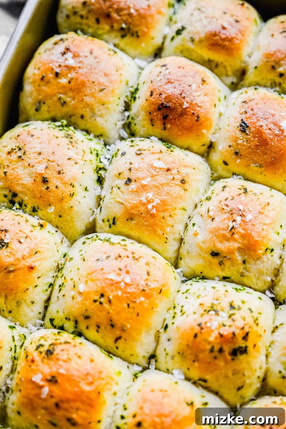 These easy garlic herb parker house rolls are buttery, moist, and tender, and the perfect side for a Thanksgiving or Christmas meal. Close-up of baked garlic herb parker house rolls still in the pan, topped with glistening garlic and herbs, ready to be served.