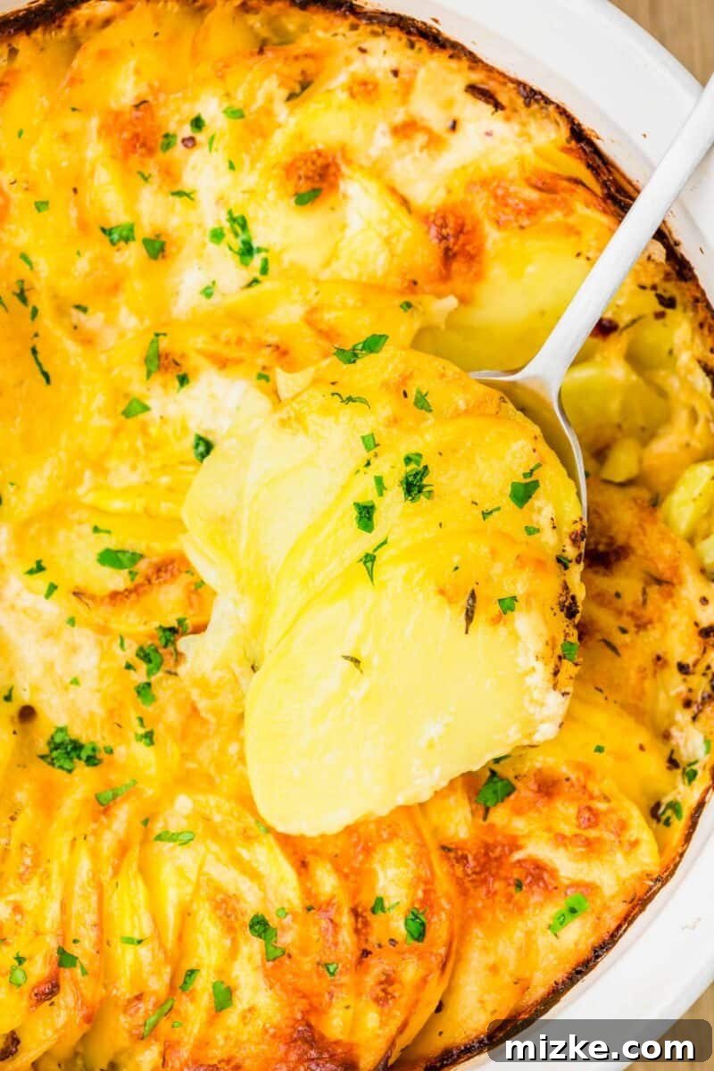 Simply Irresistible Creamy Potato Gratin 12 A silver spoon lifting a spoonful of baked potatoes au gratin from a casserole dish, clearly showing the distinct, cooked layers of potato and creamy sauce.