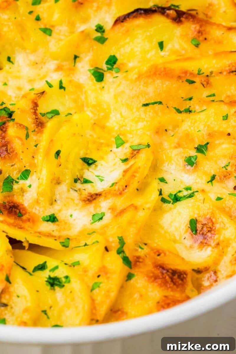 Simply Irresistible Creamy Potato Gratin 3 A close-up view of golden, bubbling potatoes au gratin in a white casserole dish, highlighting the creamy texture and melted cheese.
