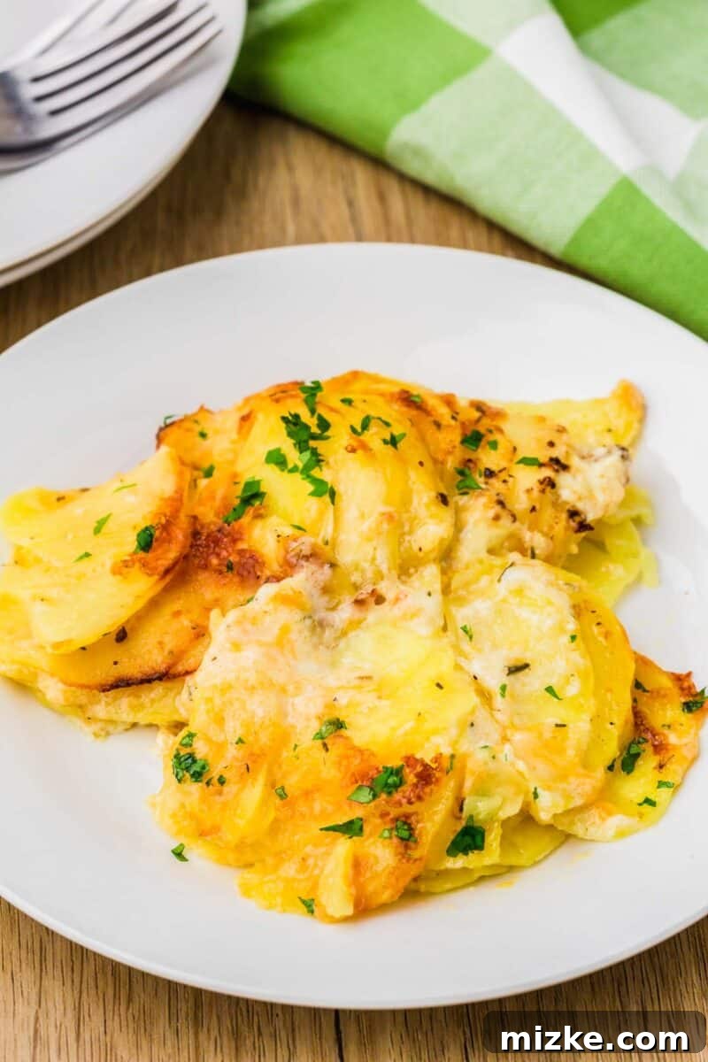 Simply Irresistible Creamy Potato Gratin 4 A serving of potatoes au gratin on a white plate, garnished with fresh green parsley, showcasing the creamy layers and golden crust.
