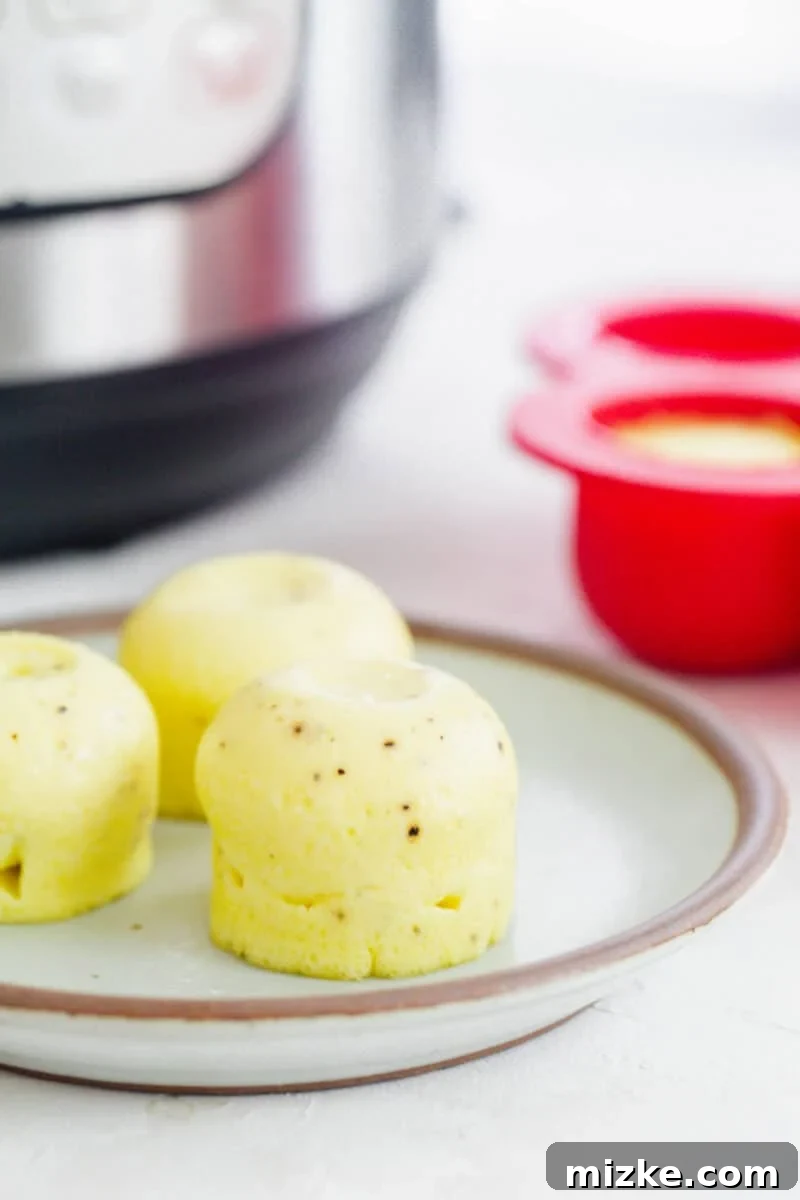 Fluffy Instant Pot Egg Bites 2 Instant Pot egg bites on a light grey brown rimmed plate, ready to be served for breakfast or brunch.
