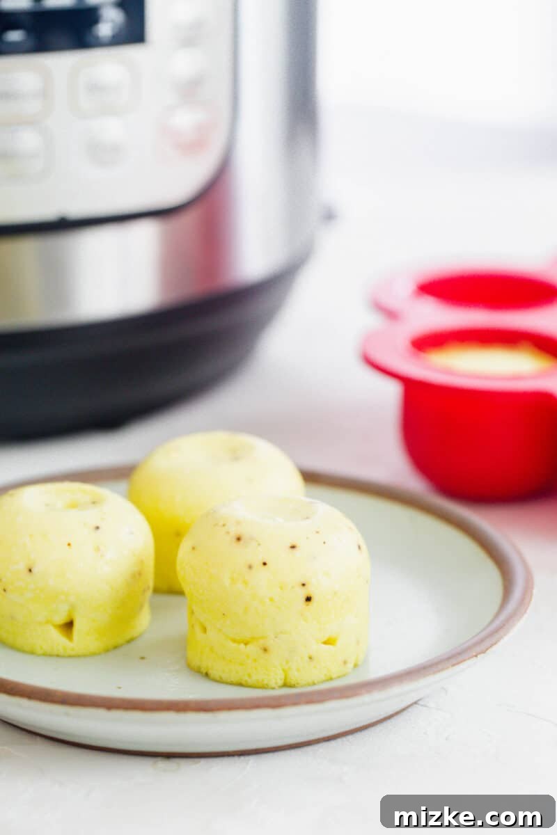 Fluffy Instant Pot Egg Bites 12 Instant Pot egg bites on a ceramic grey and brown rimmed plate in front of the Instant Pot and next to the red egg mold, showcasing the final product and cooking tools.