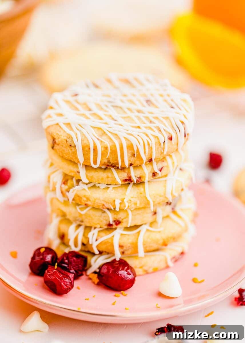 Golden Orange Cranberry Shortbread Delights 2 Stacked cranberry orange shortbread cookies with white chocolate drizzle on a pink plate, garnished with dried cranberries and white chocolate chips.