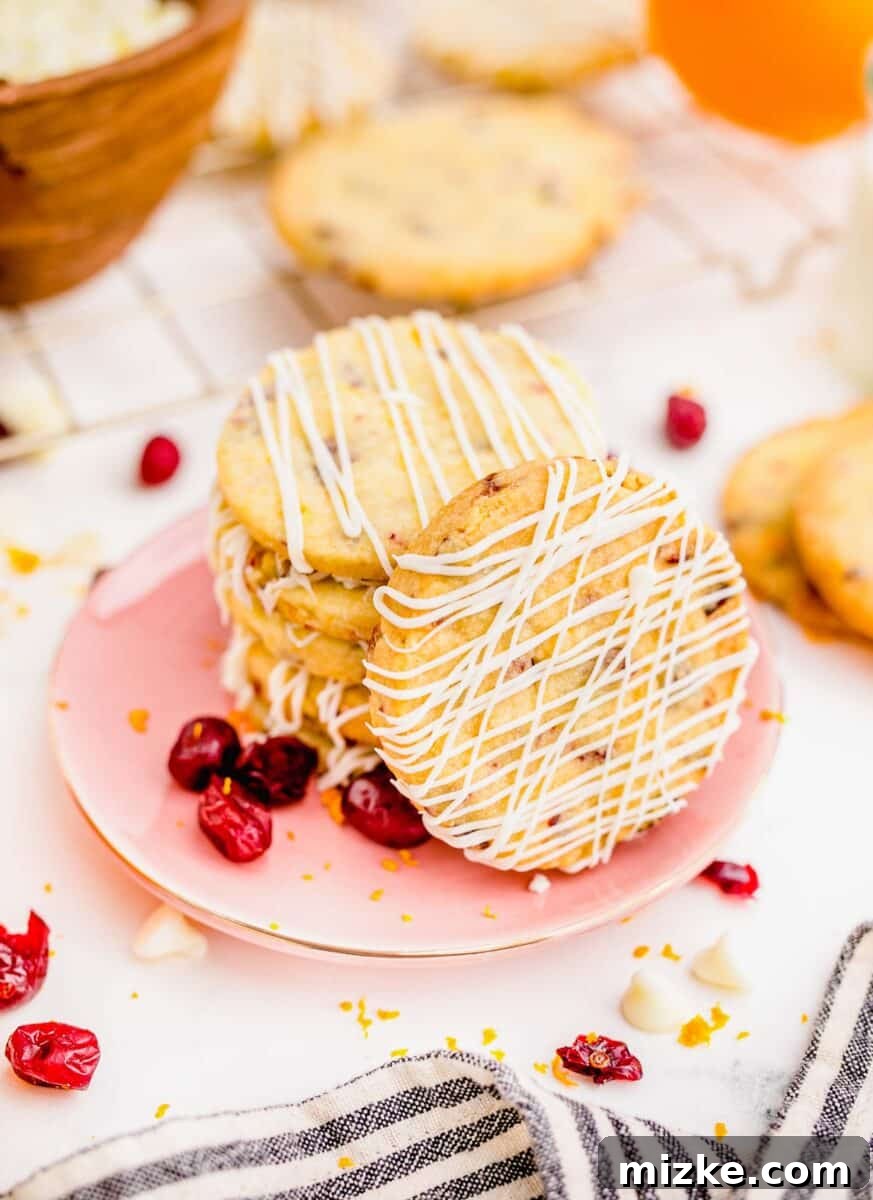 Golden Orange Cranberry Shortbread Delights 14 A single cranberry orange shortbread cookie on a pink plate, with one cookie positioned upright to highlight the delicate white chocolate drizzle detail.