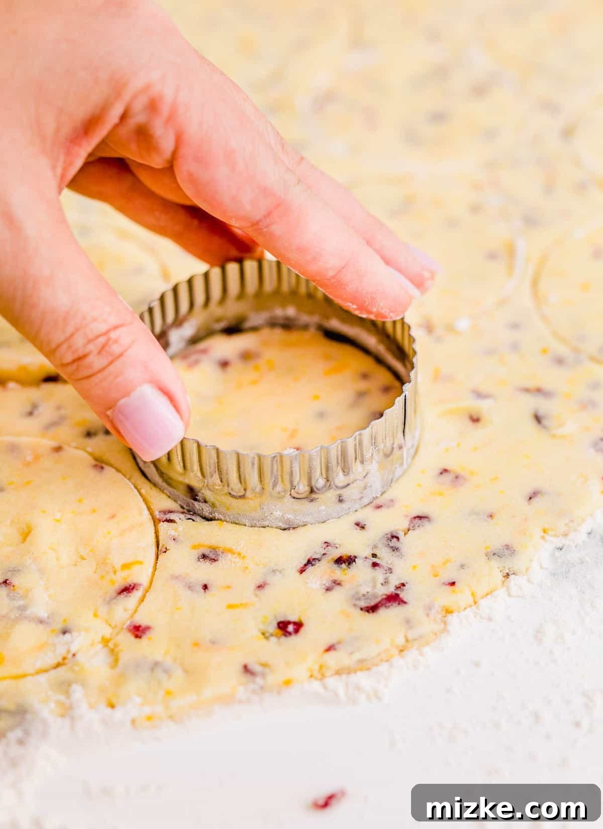 Golden Orange Cranberry Shortbread Delights 10 Using a round cookie cutter to cut out cranberry orange shortbread cookies from rolled dough.