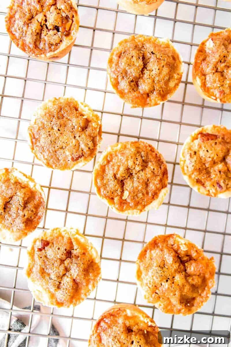 Effortless Pecan Tassie Bites 11 Freshly baked pecan tassies cooling on top of a wire baking rack, their golden crusts and glossy filling invitingly visible.