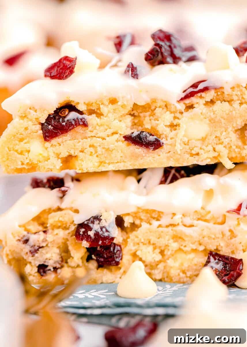 Bake Your Own Cranberry Bliss 5 Close-up side view of a baked cranberry bliss bar showing large pieces of dried cranberries and white chocolate embedded in the shortbread-like base.