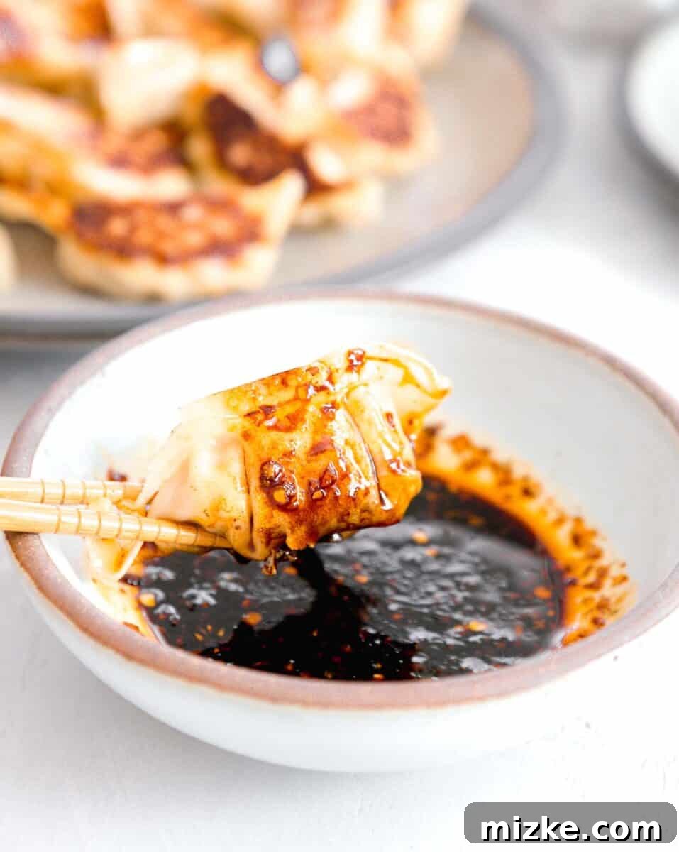 Your New Favorite Dumpling Sauce 8 A succulent golden-brown pan-fried dumpling, glistening and dripping with our rich homemade dumpling sauce, held delicately aloft by elegant wooden chopsticks – a truly mouthwatering sight that beckons you to take a bite.