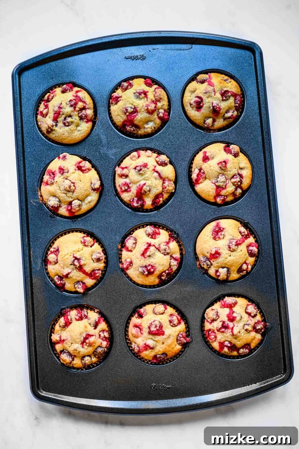 Moist, tender, sweet, and tart cranberry maple cornbread muffins are a perfect side dish for Thanksgiving or Christmas. A muffin tin proudly displaying 12 perfectly baked cranberry cornbread muffins, their golden tops ready to be enjoyed.