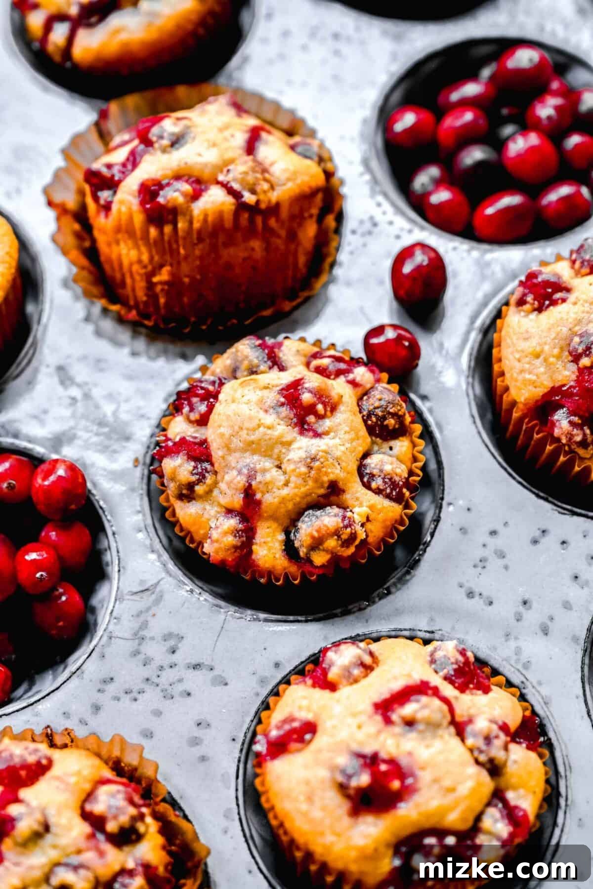 These cranberry maple cornbread muffins are moist, tender, sweet, and tart, and make a great side dish at Thanksgiving or Christmas. A close-up shot of cranberry cornbread muffins in a muffin tin, surrounded by a scattering of fresh cranberries, emphasizing their inviting texture and festive look.