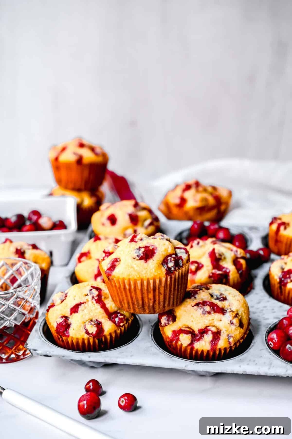 These delightful cranberry maple cornbread muffins are moist, tender, sweet, and tart, making them an excellent choice for a Thanksgiving or Christmas side dish. A warm muffin tin showcasing baked cranberry cornbread muffins, with a single muffin artfully placed on top, surrounded by loose cranberries in a rustic setting.
