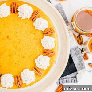 Partial view of a pumpkin cheesecake, topped with dollops of whipped cream and pecans, showcasing its rich texture and appealing presentation.