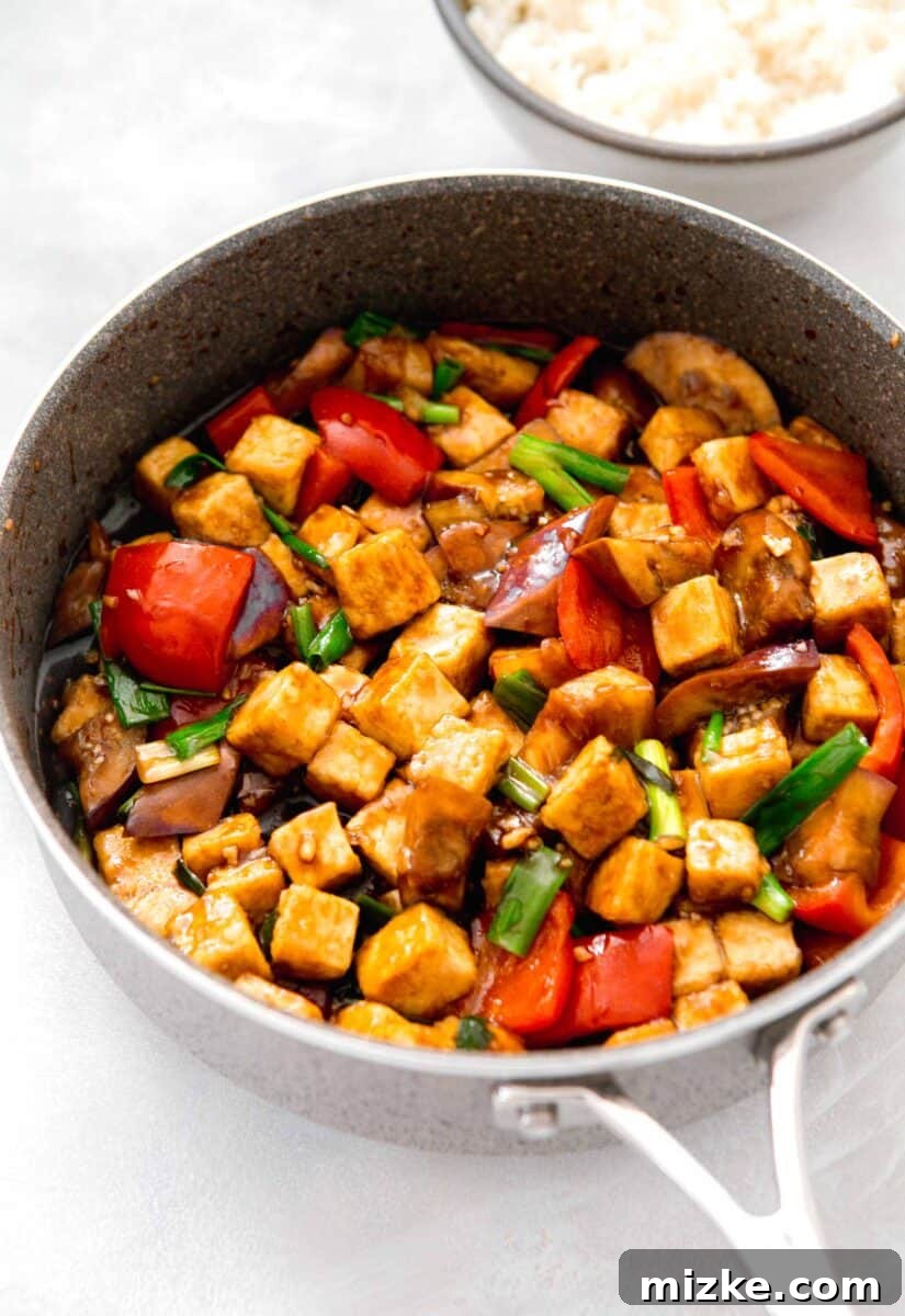 Close-up image of homemade eggplant tofu recipe in a skillet with rich brown sauce coating the ingredients. A side of fluffy white rice is visible next to the skillet.