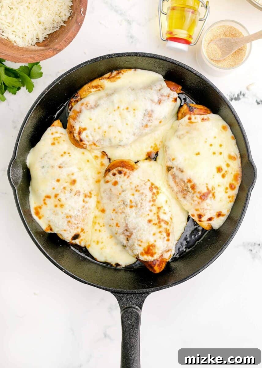 Melted provolone cheese glistening on top of the chicken breasts in the skillet after broiling.