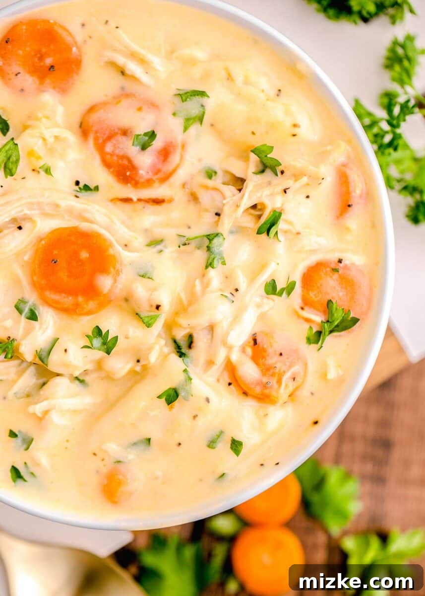 Comfort Chicken with a Tortilla Twist 11 chicken and dumplings with tortillas in a white bowl with fresh parsley sprinkled on top