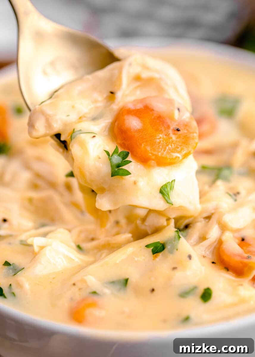 Comfort Chicken with a Tortilla Twist 12 creamy chicken and dumplings with tortilla soup on a spoon being lifted out of the bowl