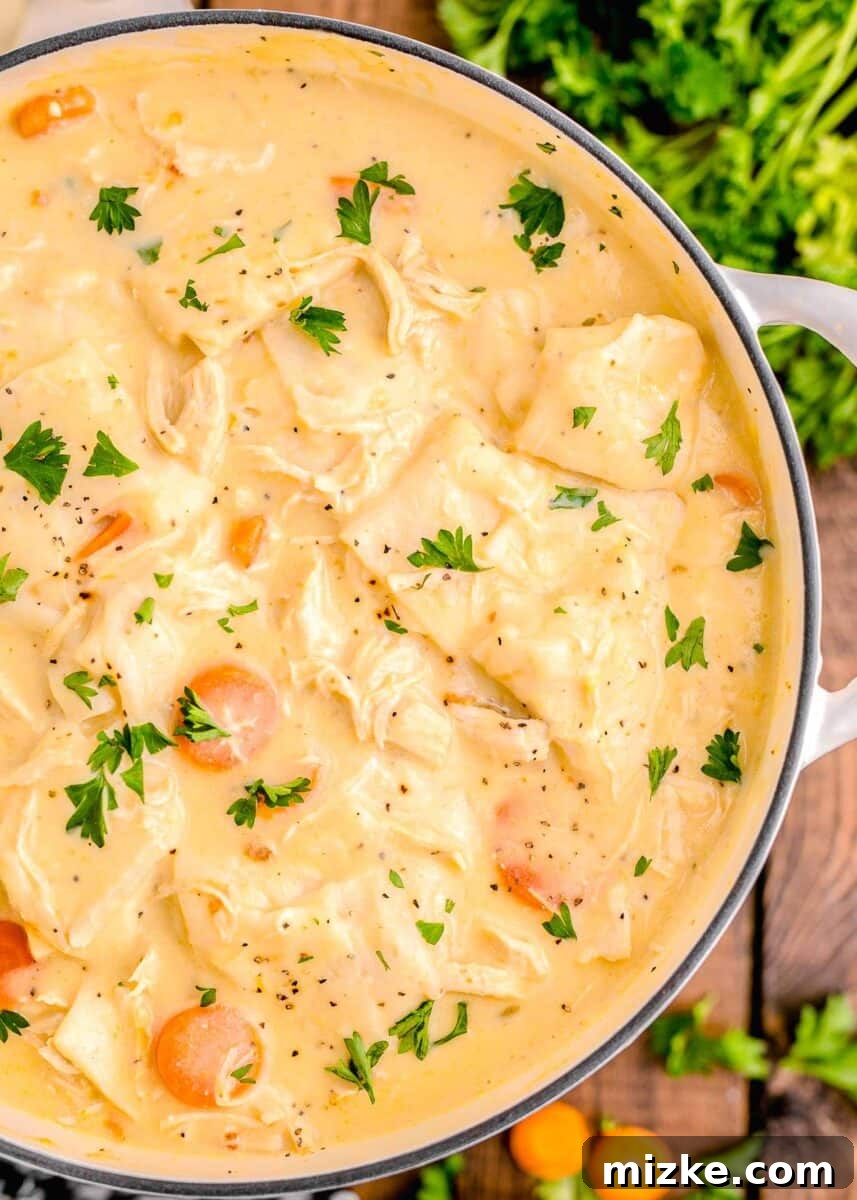 Comfort Chicken with a Tortilla Twist 3 chicken and dumplings with tortillas in a large pot with fresh parsley sprinkled on top