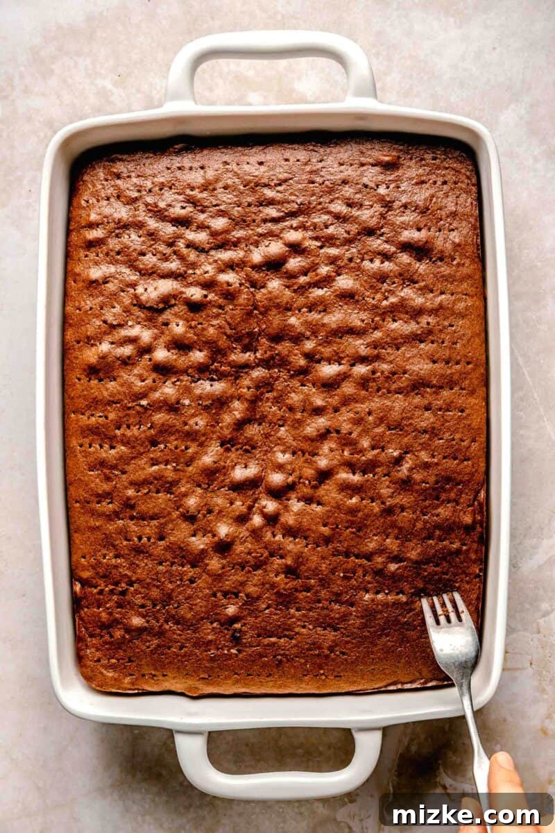 Chocolate cake is soaked in 3 kinds of milk and topped with chocolate Cool Whip and shaved chocolate in this spin on tres leches cake. Poking holes evenly across the surface of the baked chocolate tres leches cake with a fork.