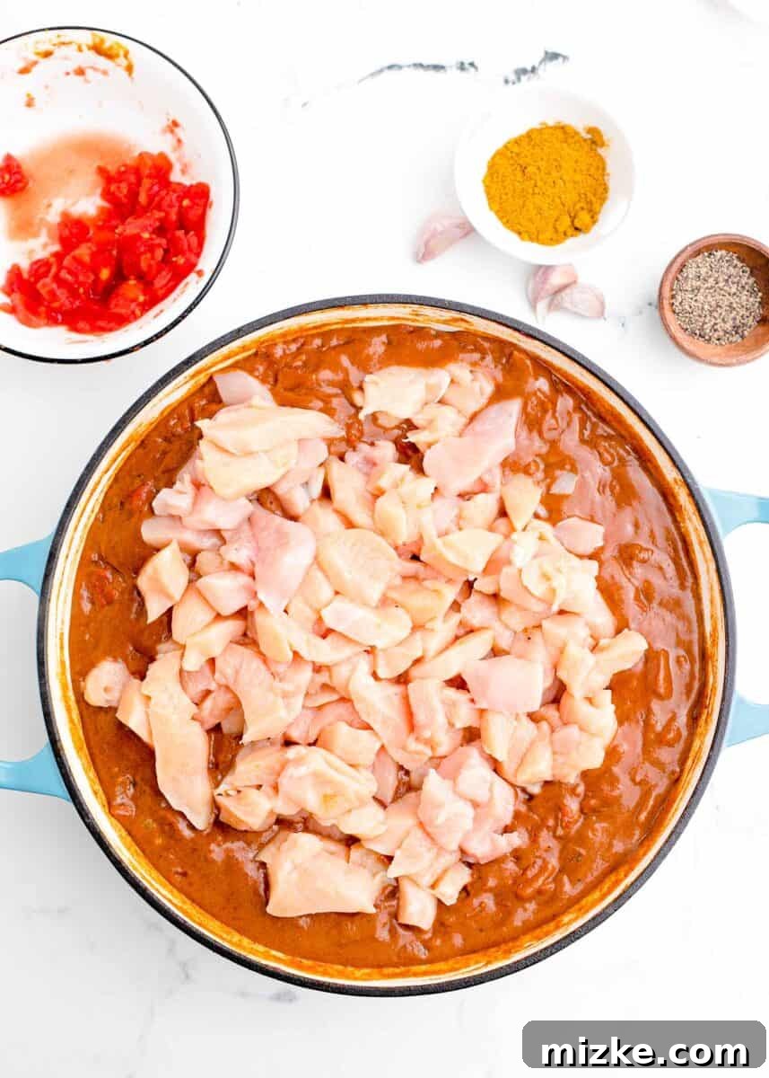 Classic Madras Heat 6 Raw chicken pieces added to a tomato-base curry in a cast iron pot