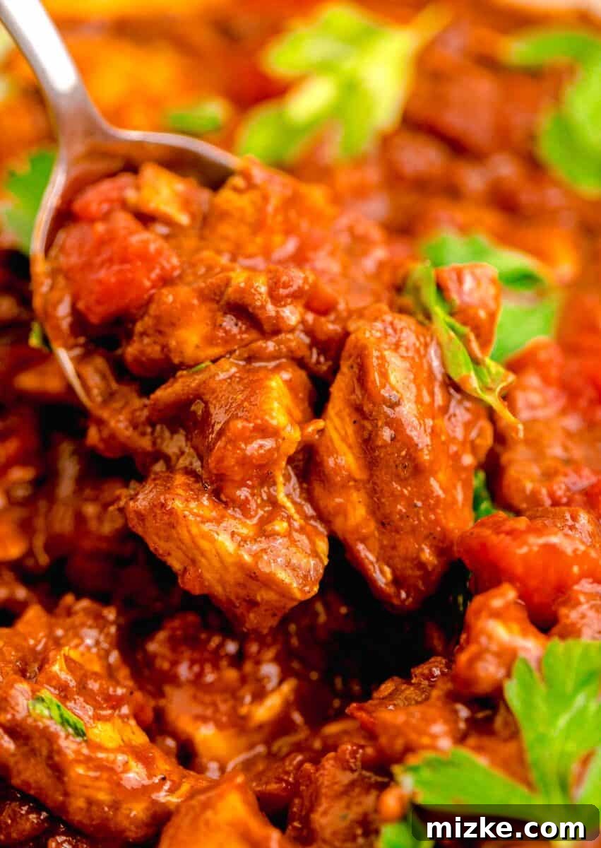 Classic Madras Heat 8 Up close image of Madras curry being spooned out, showcasing its texture and color