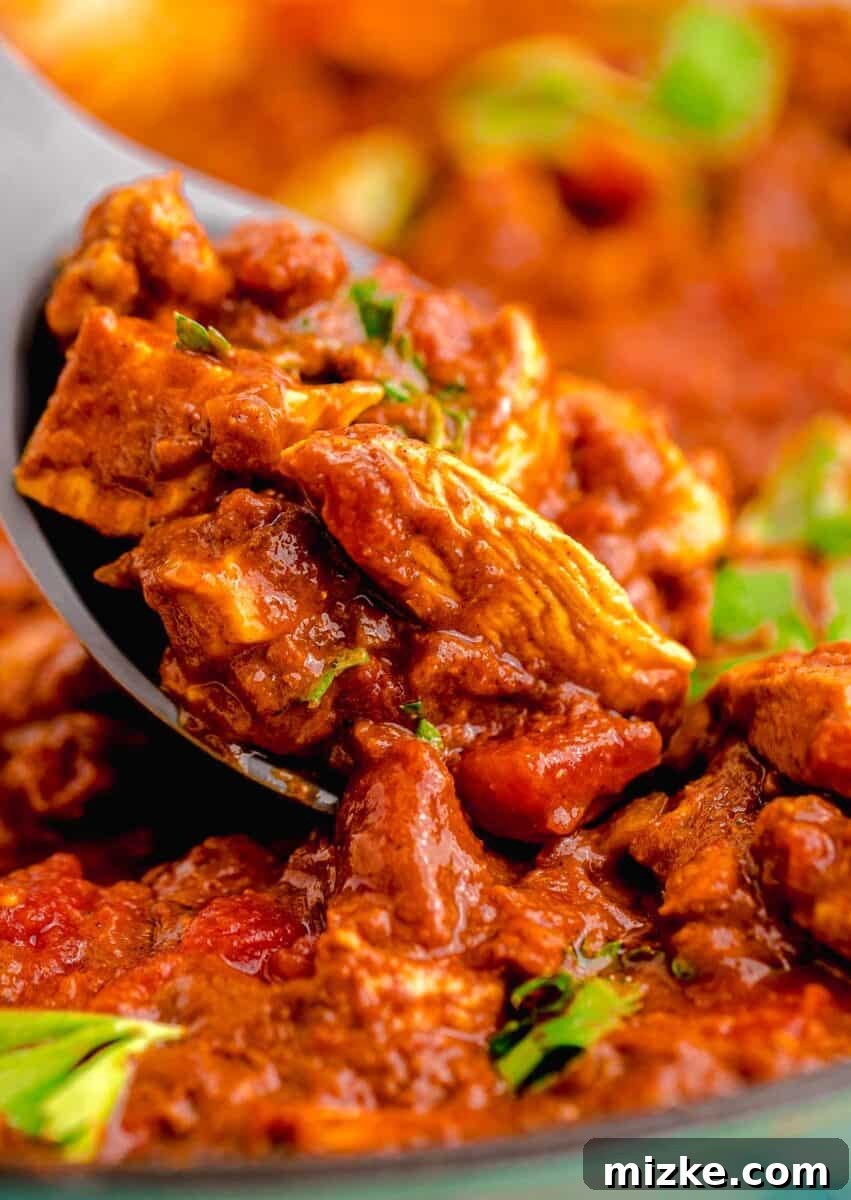 Classic Madras Heat 9 Madras curry and the vibrant red color can be seen on a metal spoon