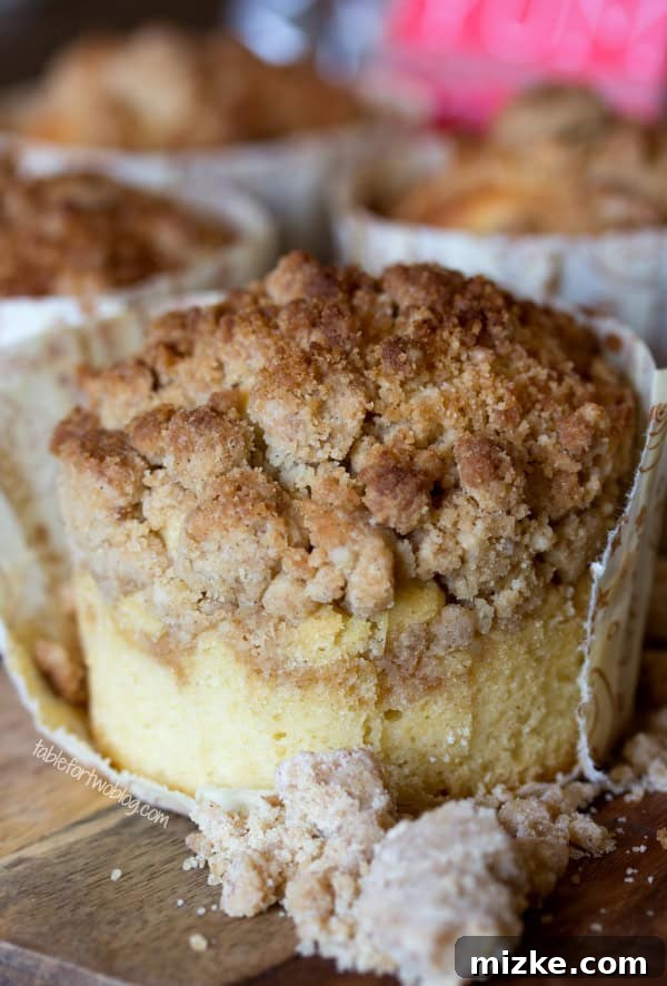 New York-Style Coffee Cake Crumb Muffins from www.tablefortwoblog.com Freshly baked New York-Style Coffee Cake Crumb Muffins in panettone baking cups, showcasing a golden-brown crumb topping.
