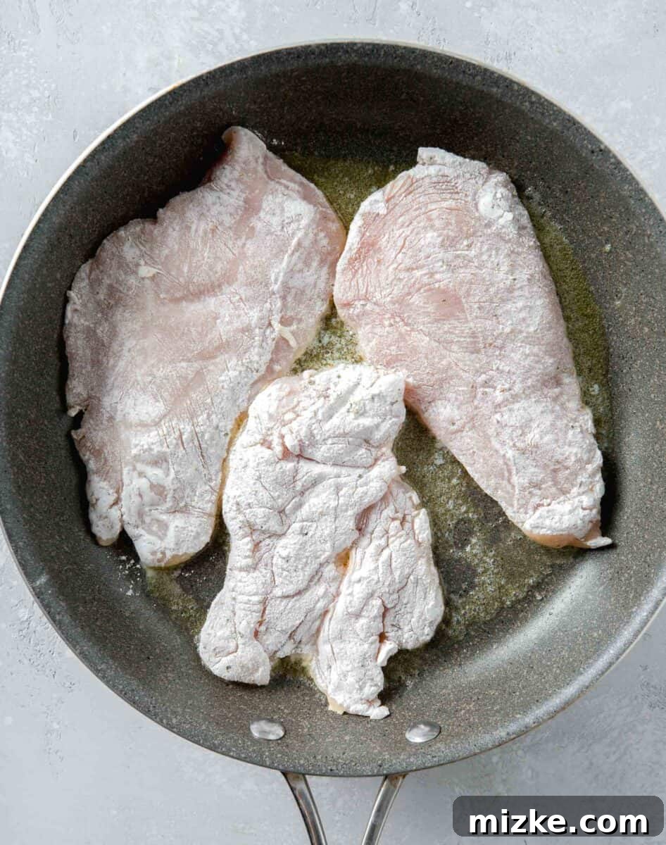 Velvety Lemon Chicken Piccata 5 Thinly sliced chicken breasts, lightly coated in seasoned flour, being browned in a large grey nonstick skillet to achieve a golden crust.