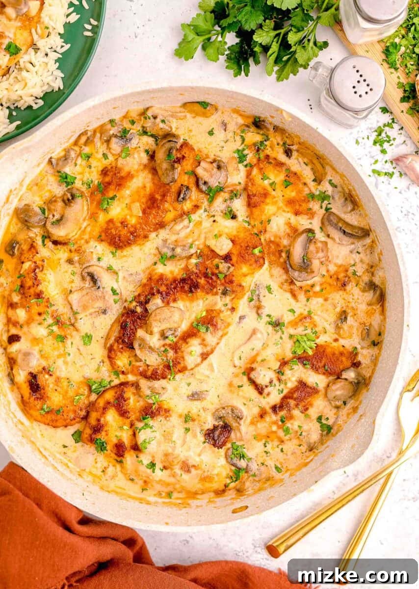 Simple Weeknight Chicken Marsala 11 A large pot is filled to the brim with creamy chicken marsala, showcasing its rich texture and enticing color.