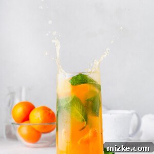 an orange mojito is splashing in a tall glass