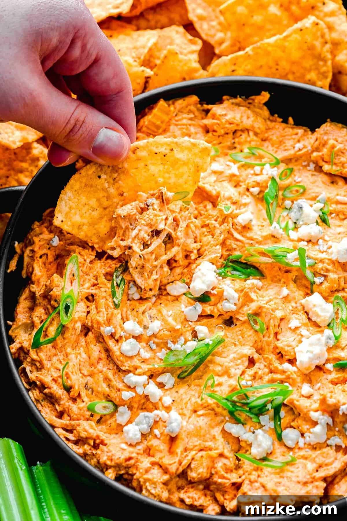 Crockpot buffalo chicken dip is the perfect party snack. It's creamy, loaded with chicken, and bursting with blue cheese and buffalo flavor. Close-up shot of a crispy tortilla chip being dipped into a rich, steaming crockpot buffalo chicken dip, highlighting the creamy texture and shredded chicken bits.