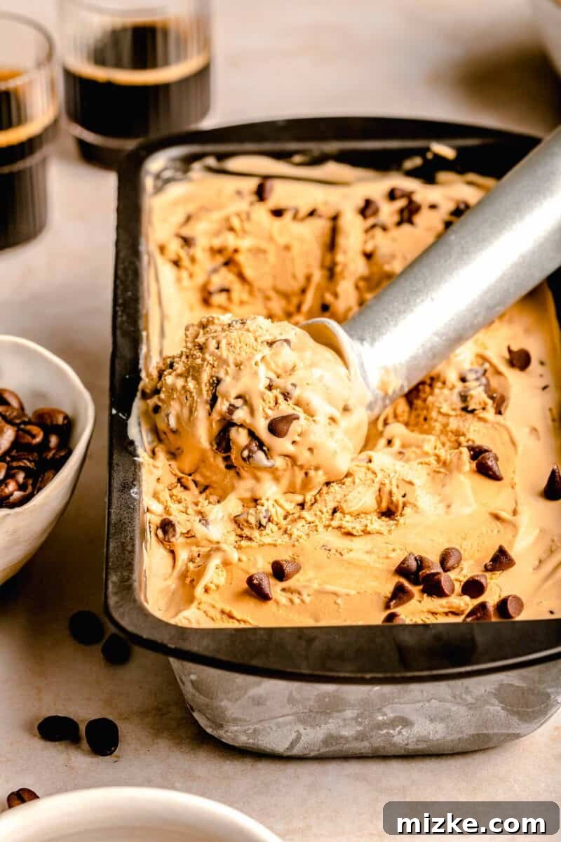 Espresso Chocolate Chip Bliss 3 A perfectly scooped ball of espresso chocolate chip ice cream resting on a metal ice cream scoop, positioned above a loaf pan filled with more ice cream, showcasing its creamy texture.
