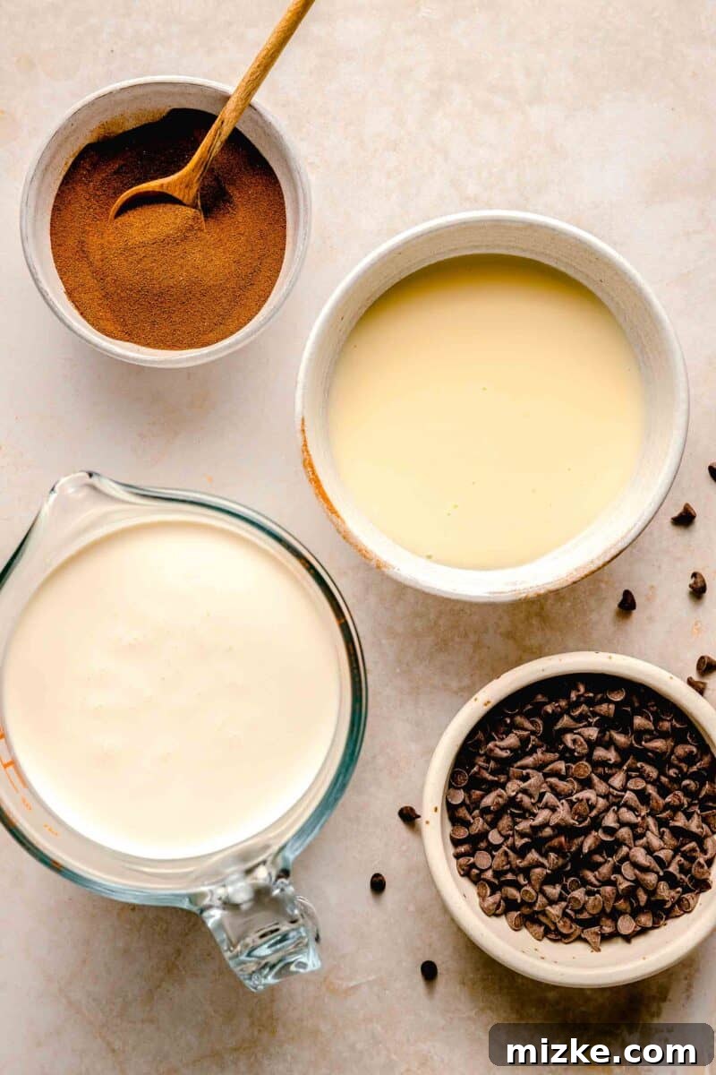 Espresso Chocolate Chip Bliss 4 A flat lay of the simple ingredients needed for espresso chocolate chip ice cream: heavy cream, sweetened condensed milk, espresso powder, and mini chocolate chips, ready for mixing.