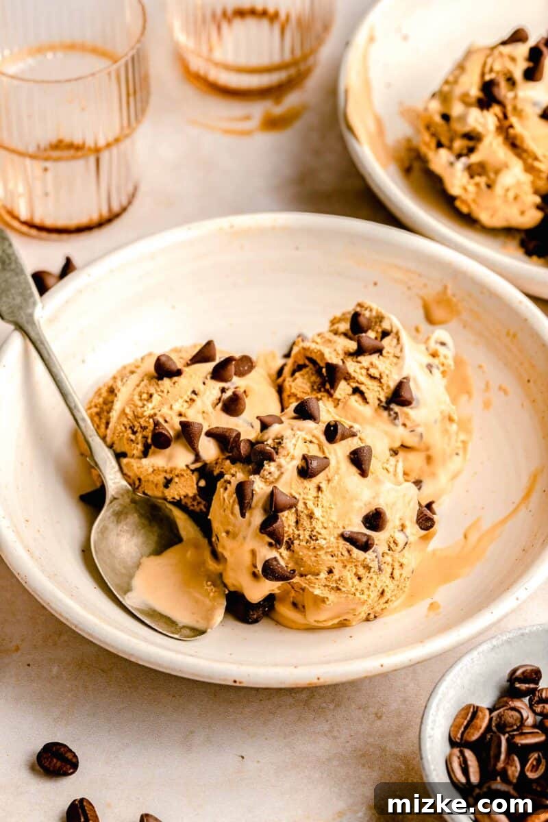 Espresso Chocolate Chip Bliss 7 Three generous scoops of rich espresso chocolate chip ice cream elegantly presented in a white bowl with an antique spoon, ready to be enjoyed.