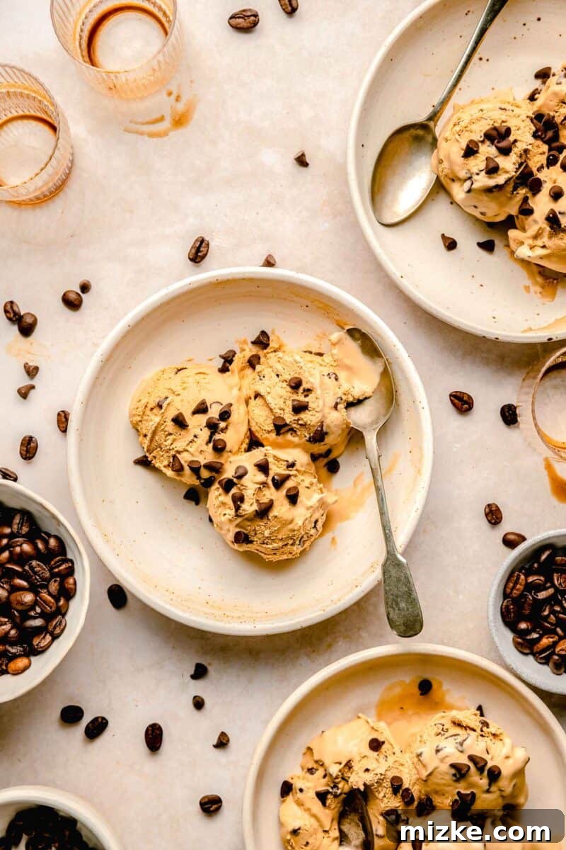 Espresso Chocolate Chip Bliss 8 Multiple scoops of espresso chocolate chip ice cream served on individual plates with spoons, artfully scattered with espresso beans for a decorative touch.