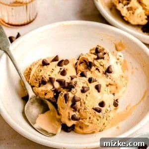 Scoop of espresso chocolate chip ice cream in a white bowl with an antique spoon, ready to be enjoyed.