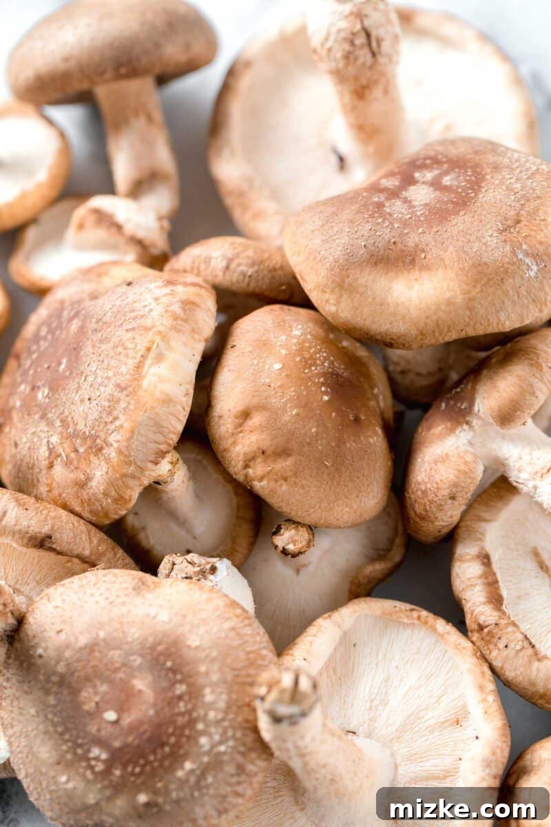 Shiitake: A Culinary Treasure 2 A beautiful arrangement of fresh shiitake mushrooms, highlighting their distinctive caps and earthy tones, ready for culinary exploration.