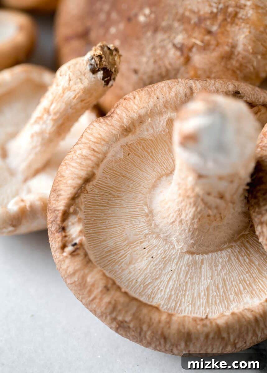 Shiitake: A Culinary Treasure 3 A captivating close-up image of a single shiitake mushroom, revealing the intricate details of its textured, dark brown cap and unique markings.
